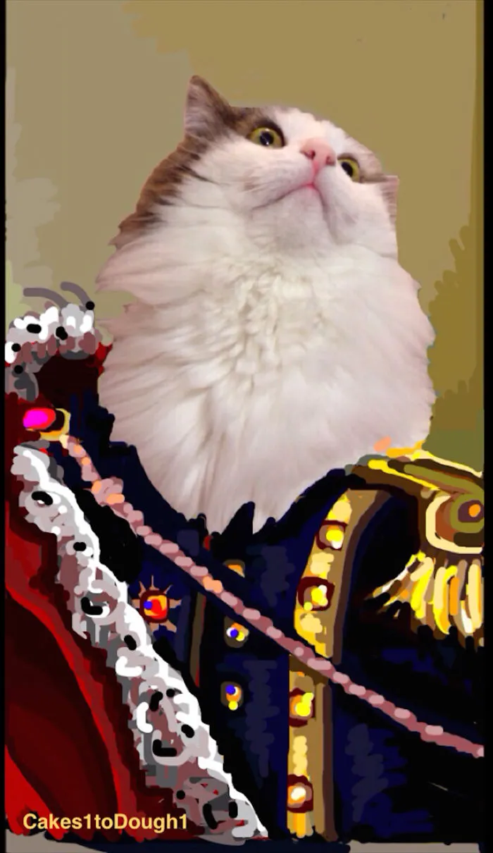 Snapcats: I Draw My Cats Into Comical Situations Using Snapchat