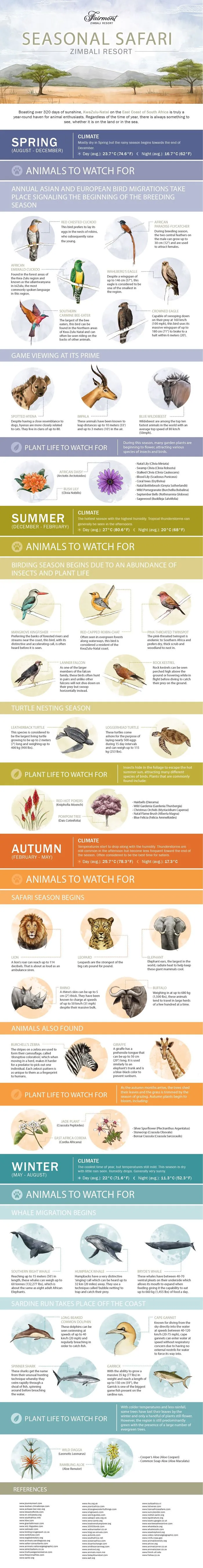 Seasonal Safari: Animals You Can See All Year In South Africa