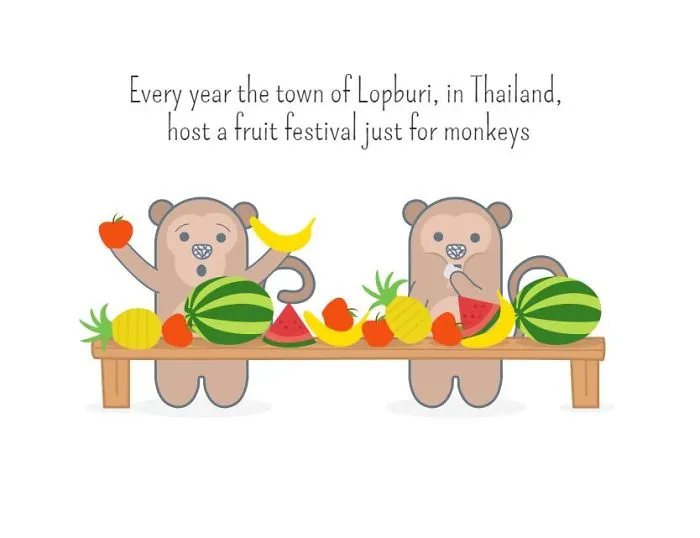 I Created Illustrations About Silly Animal Facts