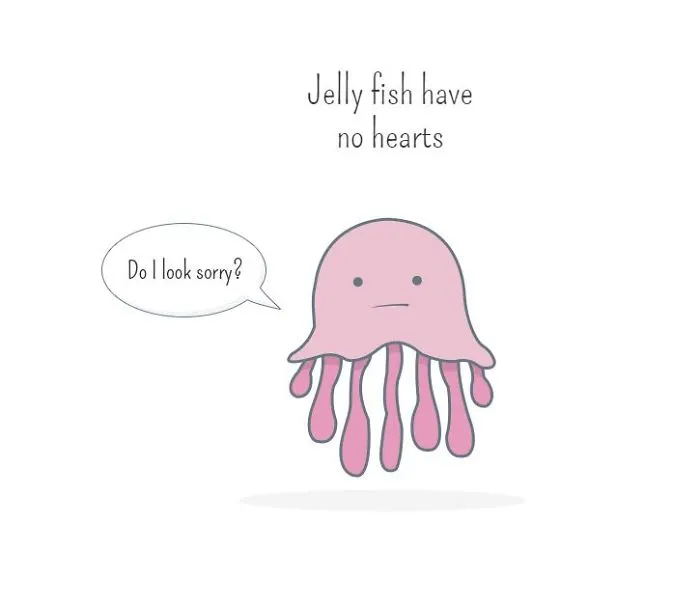 I Created Illustrations About Silly Animal Facts