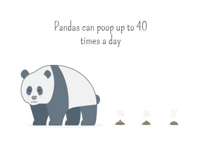 I Created Illustrations About Silly Animal Facts