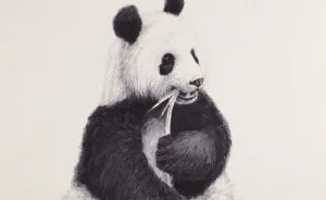 I Painted A Giant Panda In Watercolours And Made A Video Of It