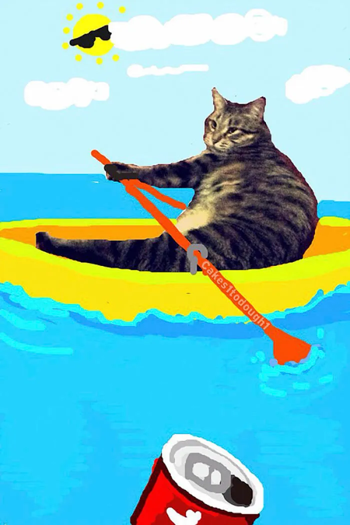 Snapcats: I Draw My Cats Into Comical Situations Using Snapchat