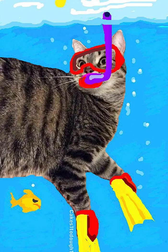 Snapcats: I Draw My Cats Into Comical Situations Using Snapchat