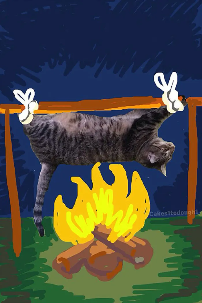Snapcats: I Draw My Cats Into Comical Situations Using Snapchat