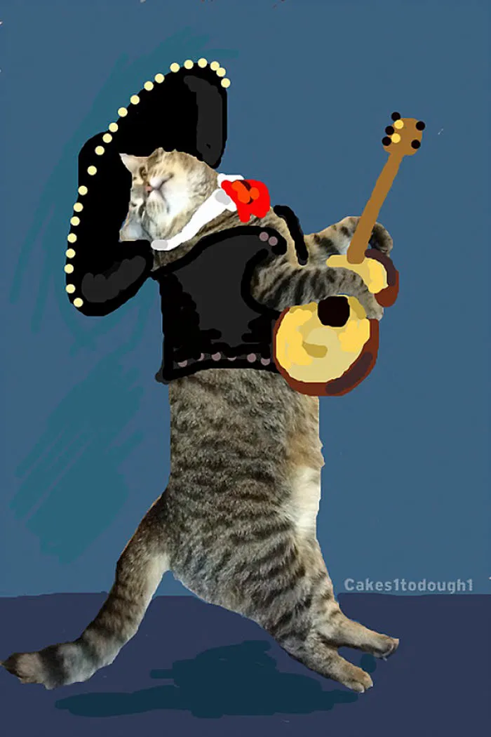 Snapcats: I Draw My Cats Into Comical Situations Using Snapchat