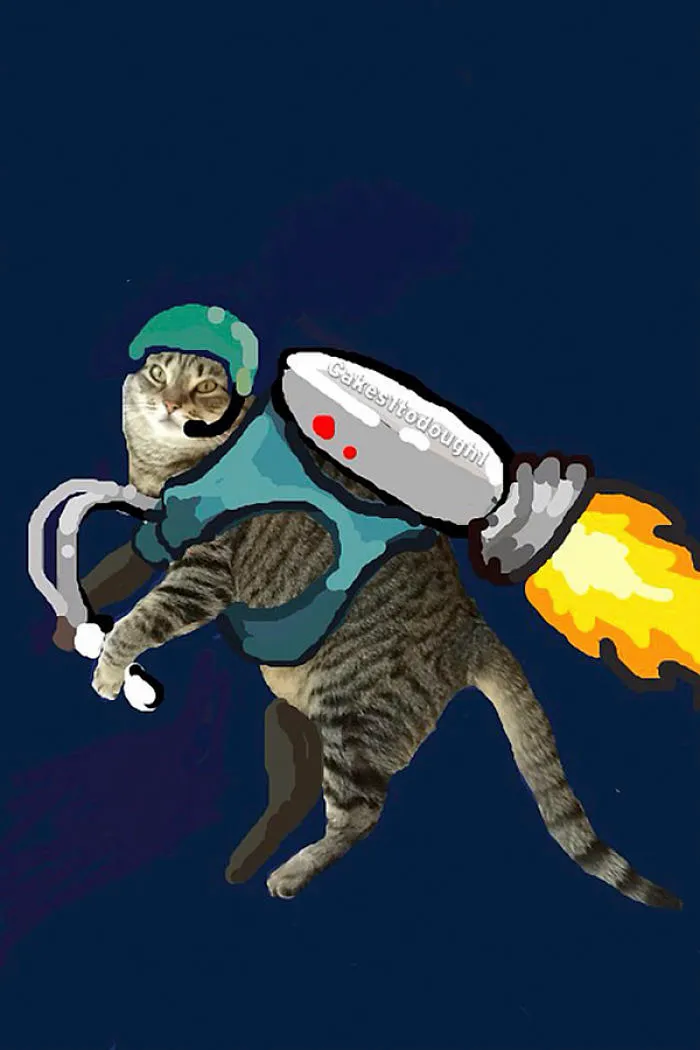 Snapcats: I Draw My Cats Into Comical Situations Using Snapchat
