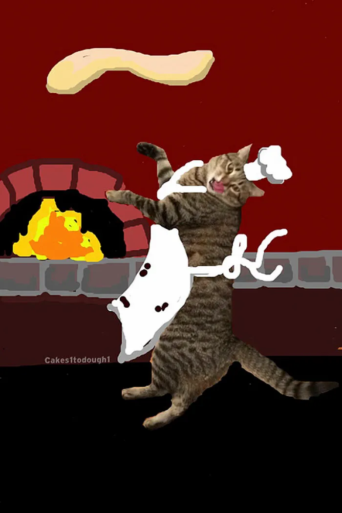 Snapcats: I Draw My Cats Into Comical Situations Using Snapchat