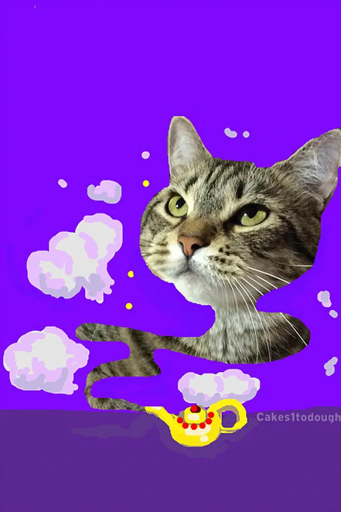 Snapcats: I Draw My Cats Into Comical Situations Using Snapchat