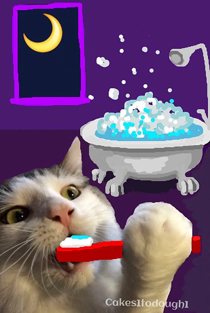 Snapcats: I Draw My Cats Into Comical Situations Using Snapchat