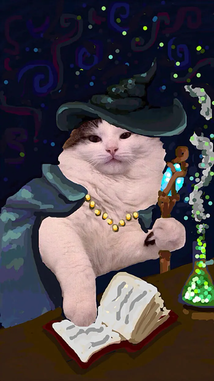 Snapcats: I Draw My Cats Into Comical Situations Using Snapchat