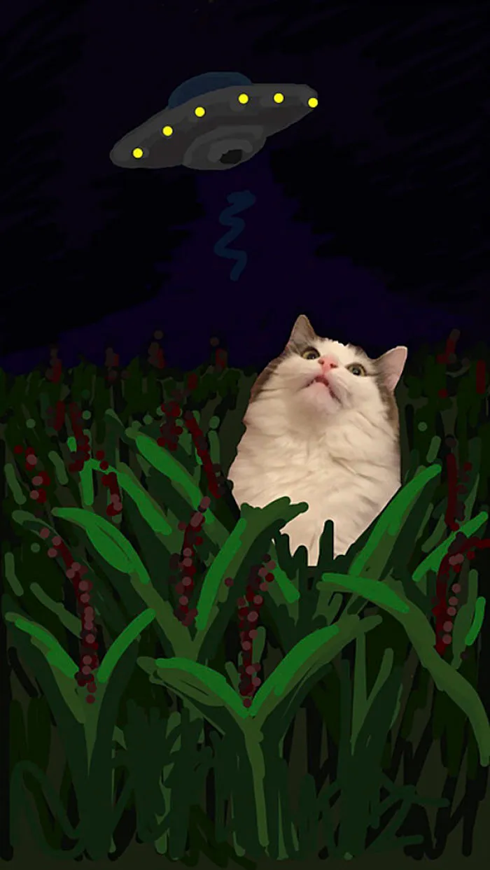 Snapcats: I Draw My Cats Into Comical Situations Using Snapchat