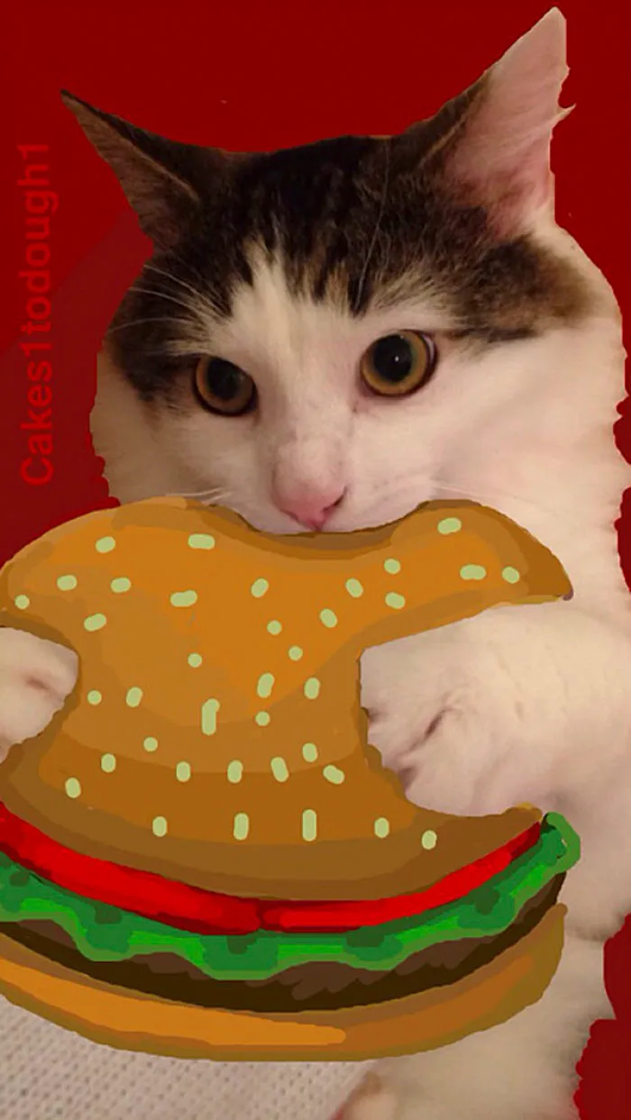 Snapcats: I Draw My Cats Into Comical Situations Using Snapchat