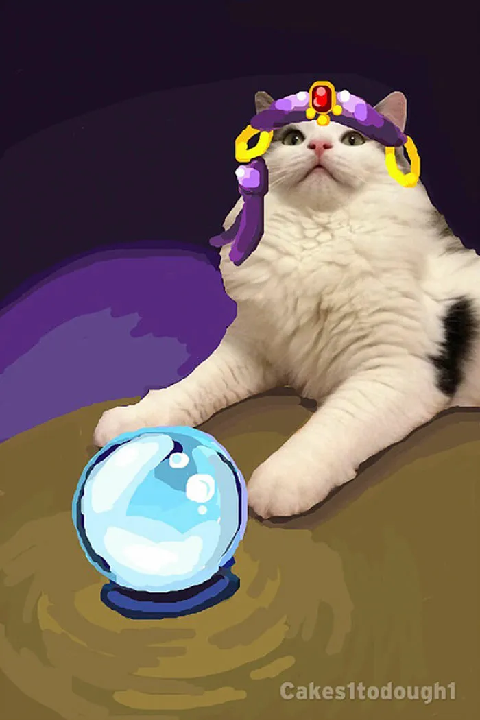 Snapcats: I Draw My Cats Into Comical Situations Using Snapchat