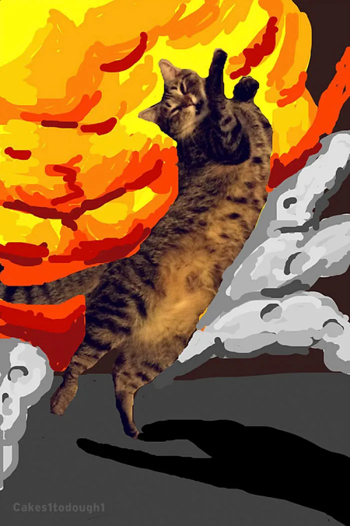 Snapcats: I Draw My Cats Into Comical Situations Using Snapchat