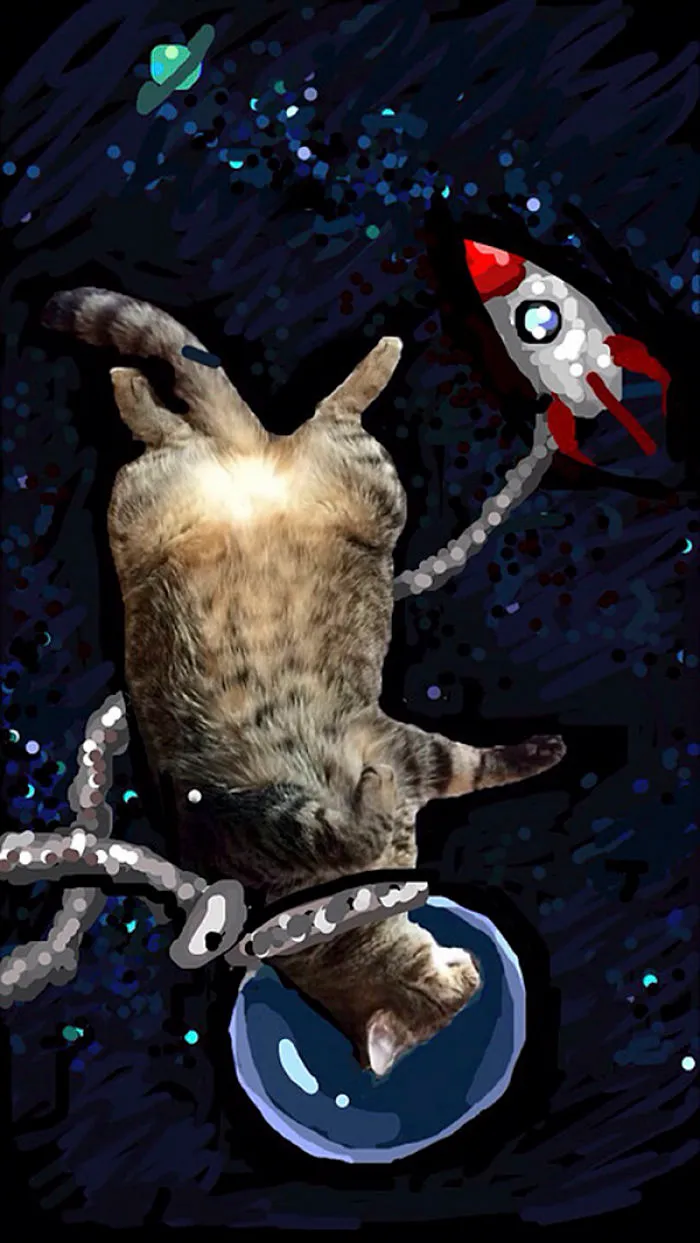 Snapcats: I Draw My Cats Into Comical Situations Using Snapchat