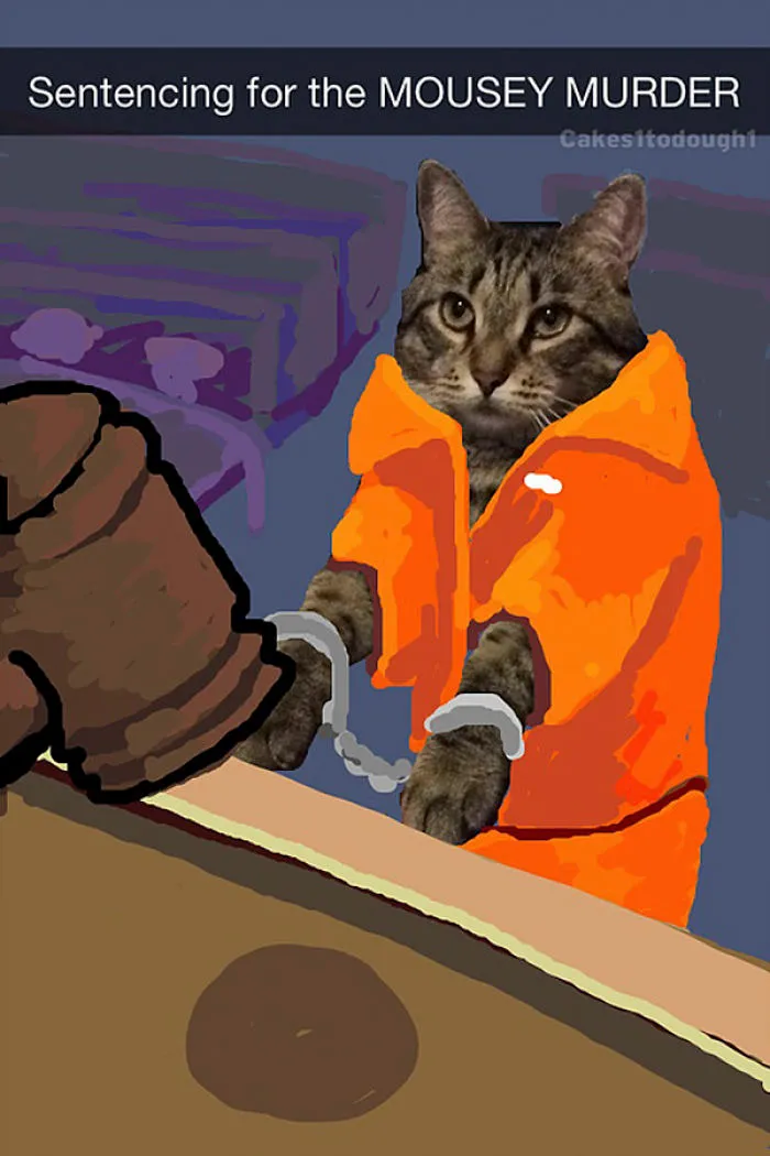 Snapcats: I Draw My Cats Into Comical Situations Using Snapchat