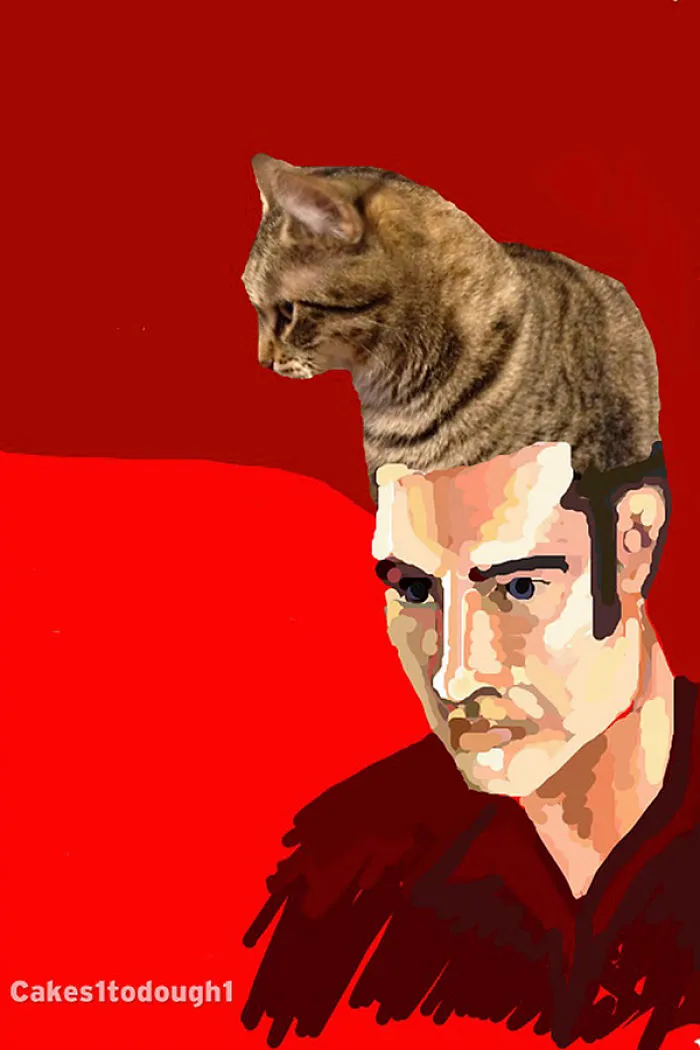 Snapchat + Cats = Snapcats