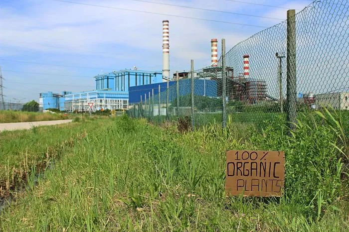 Urban Interventions That I Create To Make Our Surroundings Less Boring