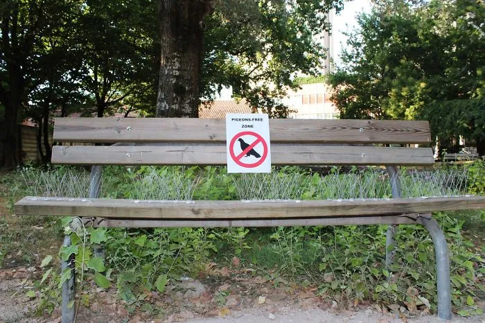 Urban Interventions That I Create To Make Our Surroundings Less Boring