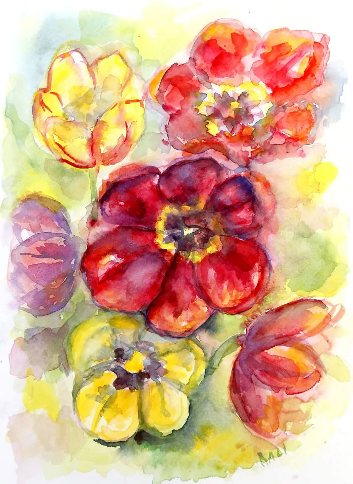 Watercolor Of Tulip