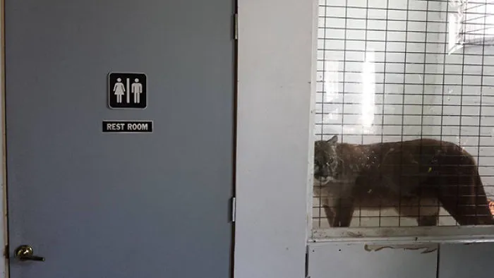 You Can Just Buy These Signs On Amazon And Stick Them Anywhere