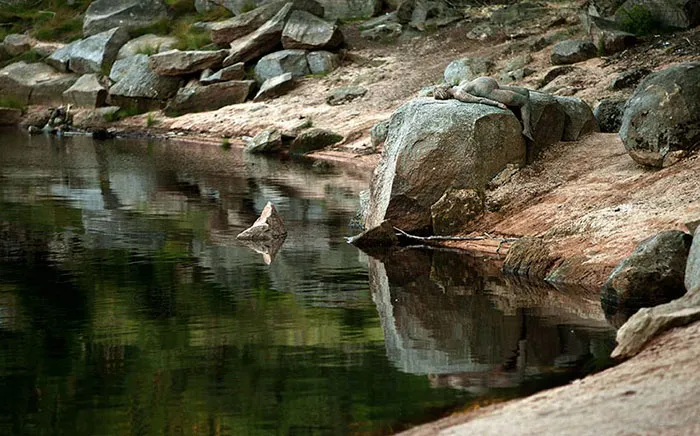 Can You Find The Artist In These Pictures? (40 Pics)