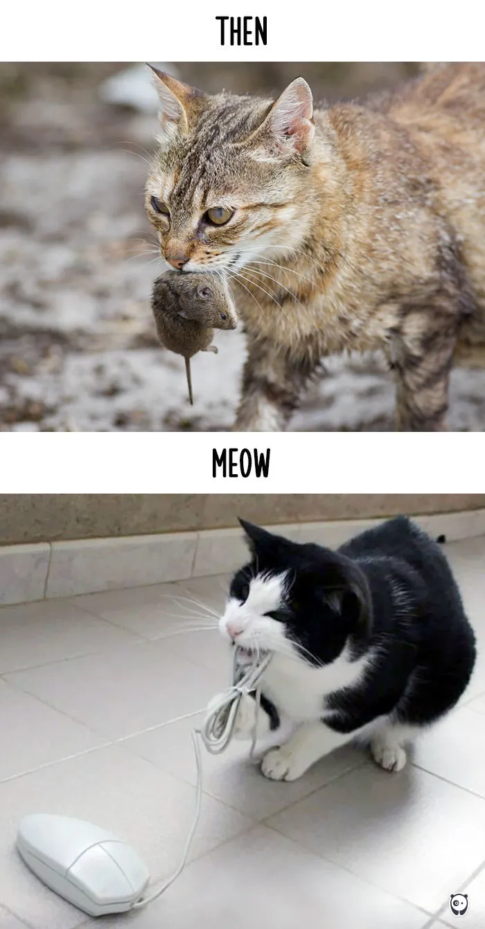 Hunting