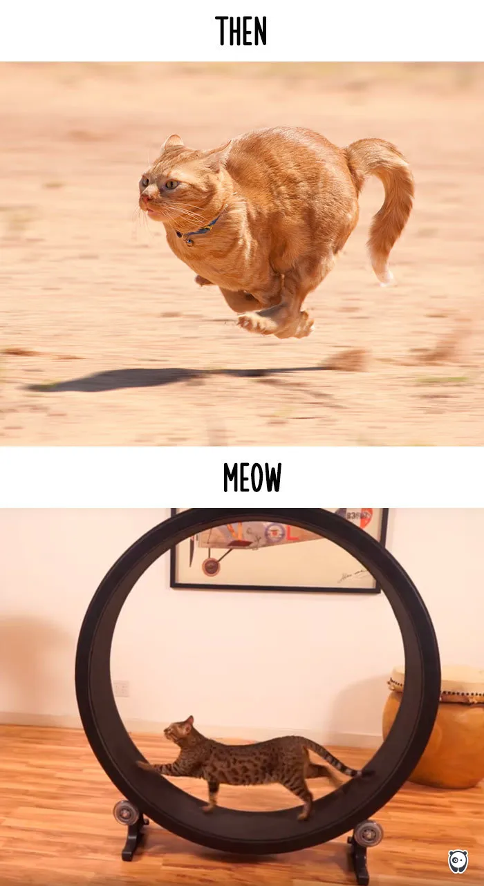 Running