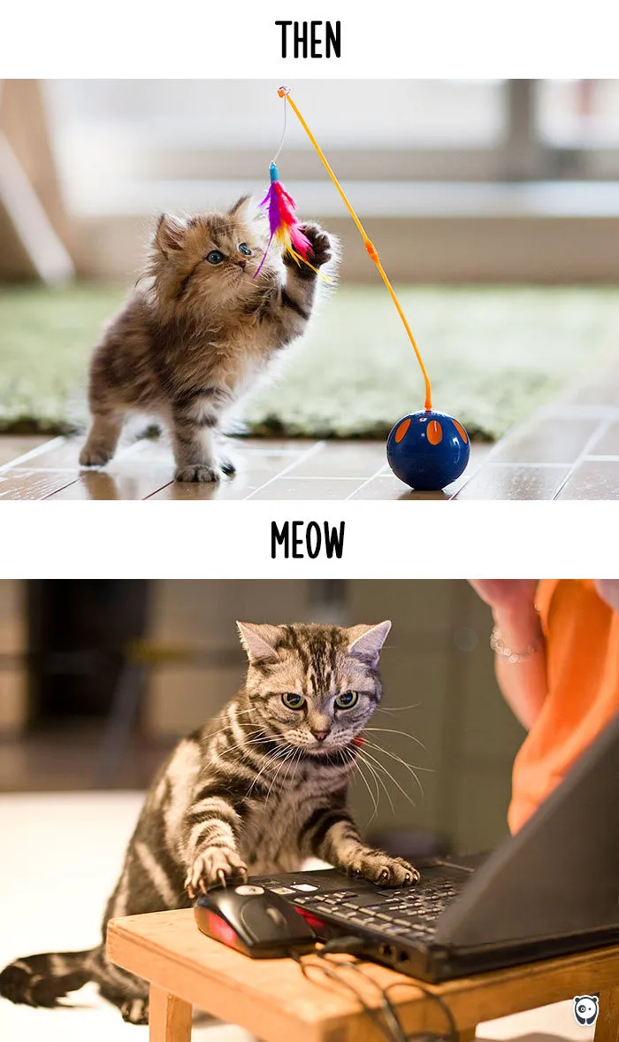 Playing