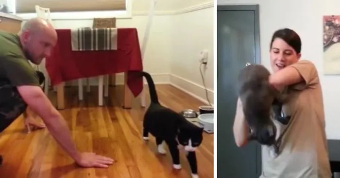 Cats Excited To See Their Returning Veterans Back Home