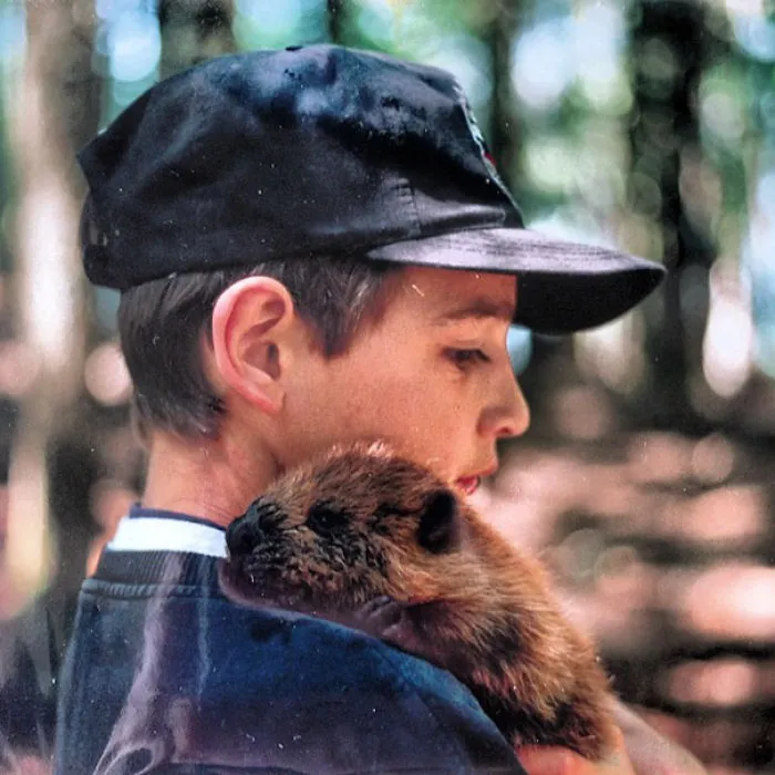 Baby Beaver