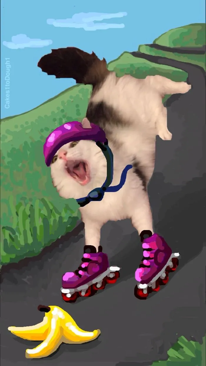 Snapcats: I Draw My Cats Into Comical Situations Using Snapchat