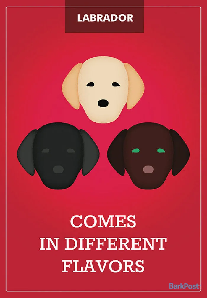 12 Honest Dog Breed Slogans That Make Fun Of Stereotypes
