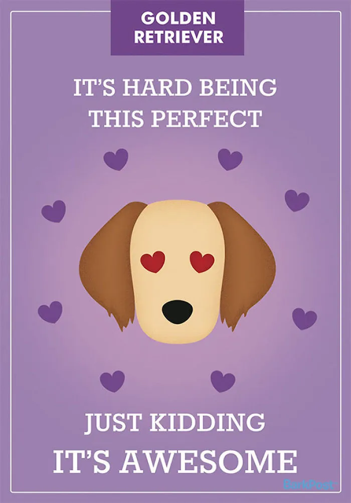 12 Honest Dog Breed Slogans That Make Fun Of Stereotypes