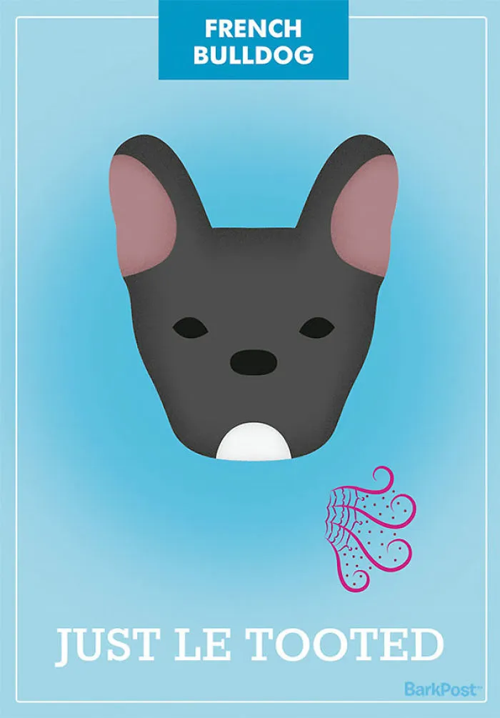 12 Honest Dog Breed Slogans That Make Fun Of Stereotypes
