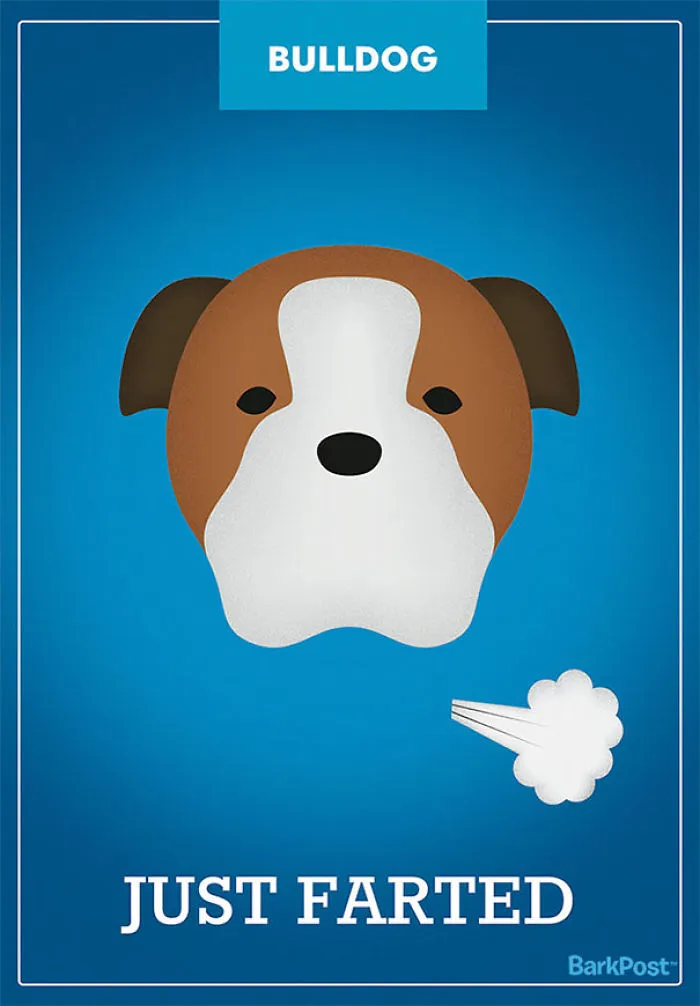 12 Honest Dog Breed Slogans That Make Fun Of Stereotypes