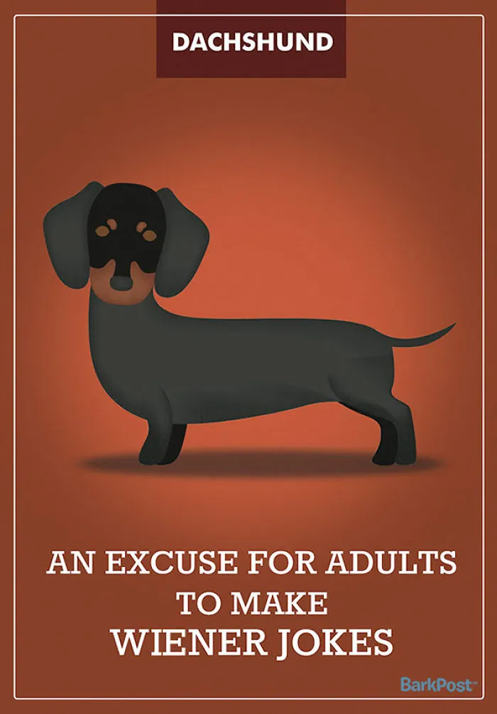 12 Honest Dog Breed Slogans That Make Fun Of Stereotypes