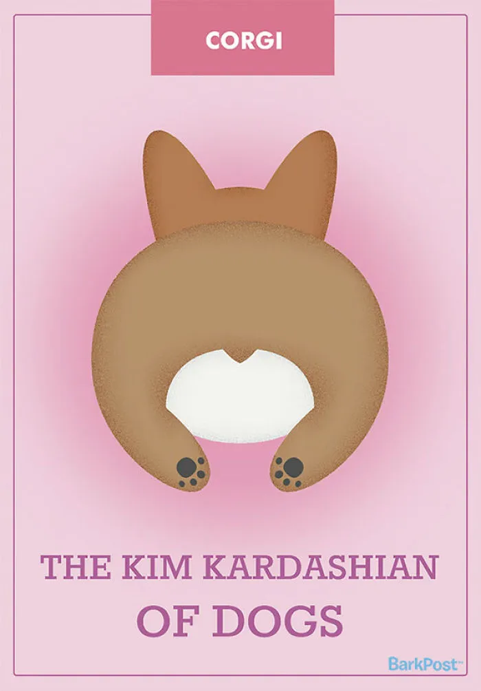 12 Honest Dog Breed Slogans That Make Fun Of Stereotypes