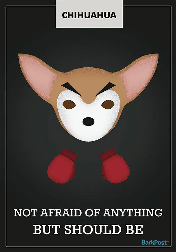 12 Honest Dog Breed Slogans That Make Fun Of Stereotypes