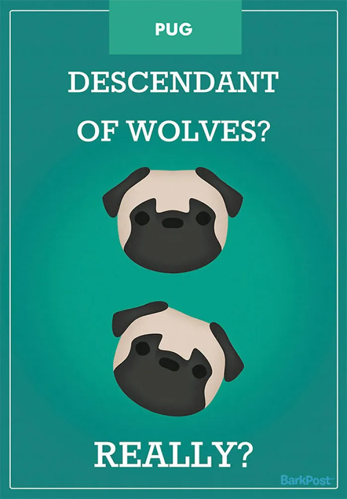 12 Honest Dog Breed Slogans That Make Fun Of Stereotypes