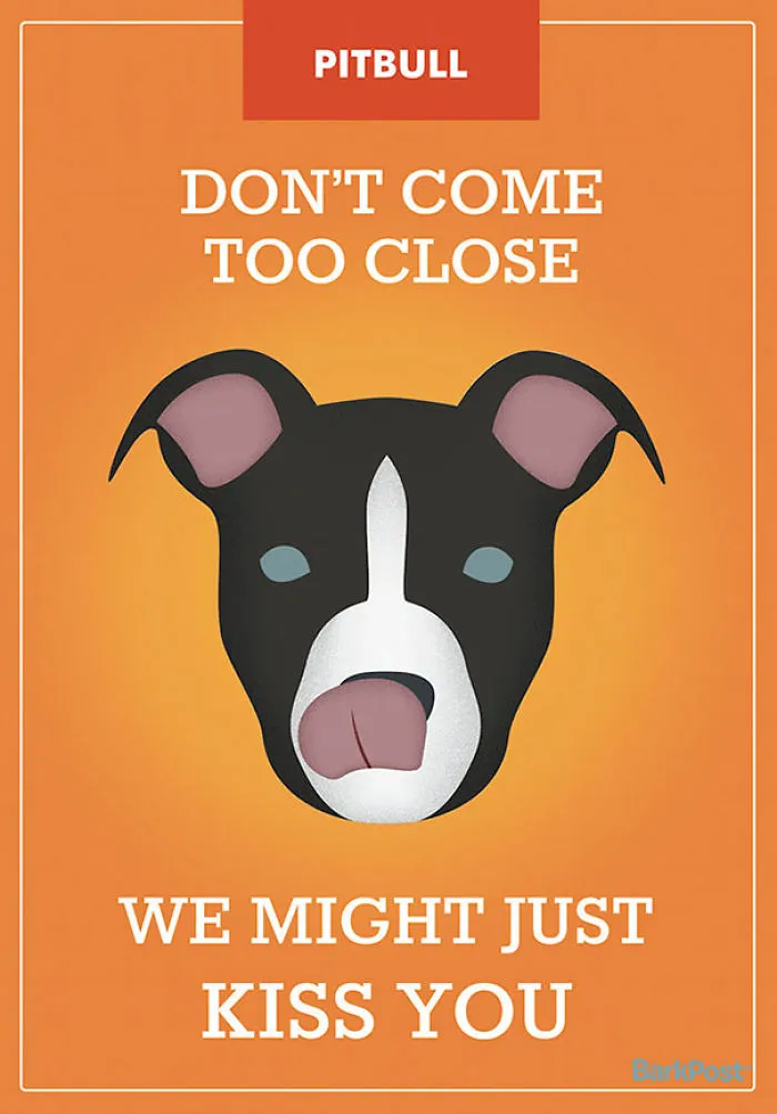 12 Honest Dog Breed Slogans That Make Fun Of Stereotypes