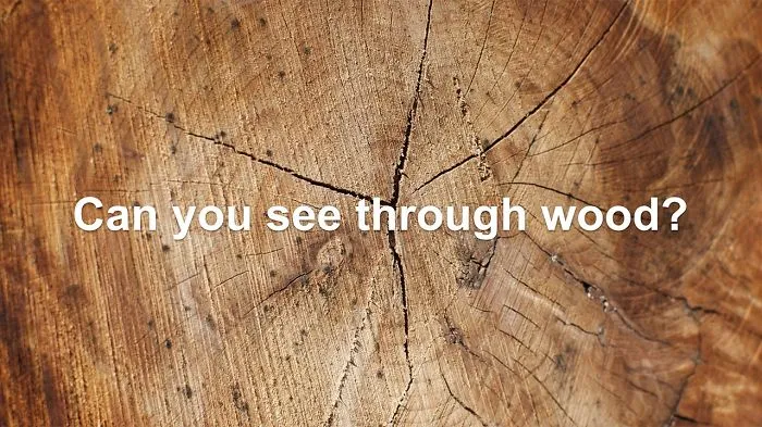See-through Wood Could Be The Building Material Of Future