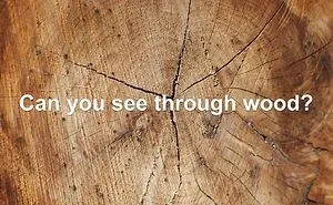 See-through Wood Could Be The Building Material Of Future