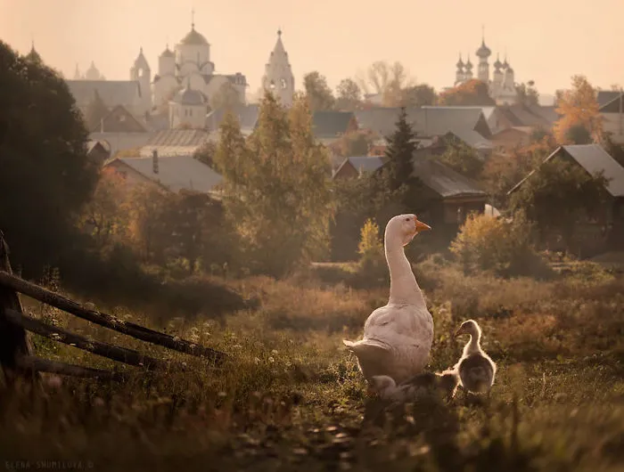Suzdal, Russia