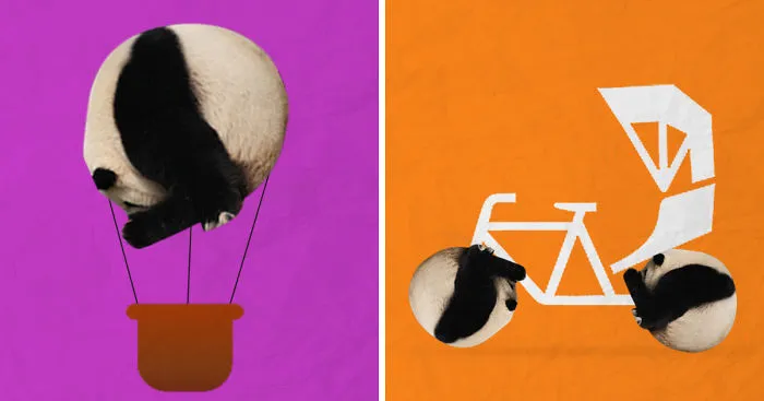 What If Pandas Were Round