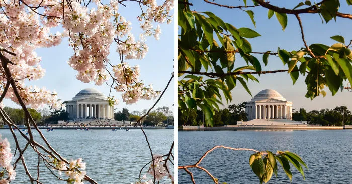1 Scene, 4 Seasons: I Photographed The Same Washington, D.C. Scene Through Four Seasons