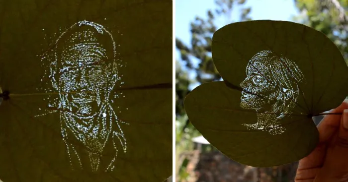 I Create Detailed Portraits On Leaves By Making Tiny Holes