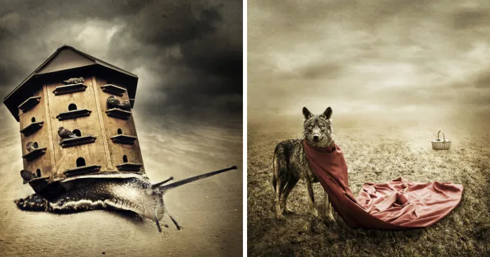 I Create Surreal Photo Manipulations Of Animals