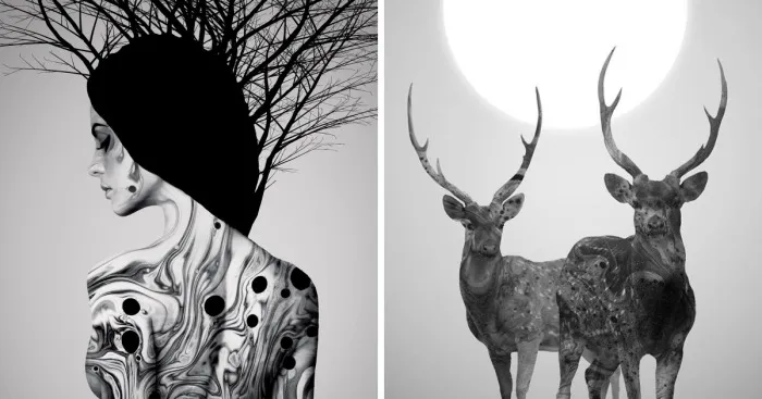 My Monochrome Illustrations Of Animals And Women